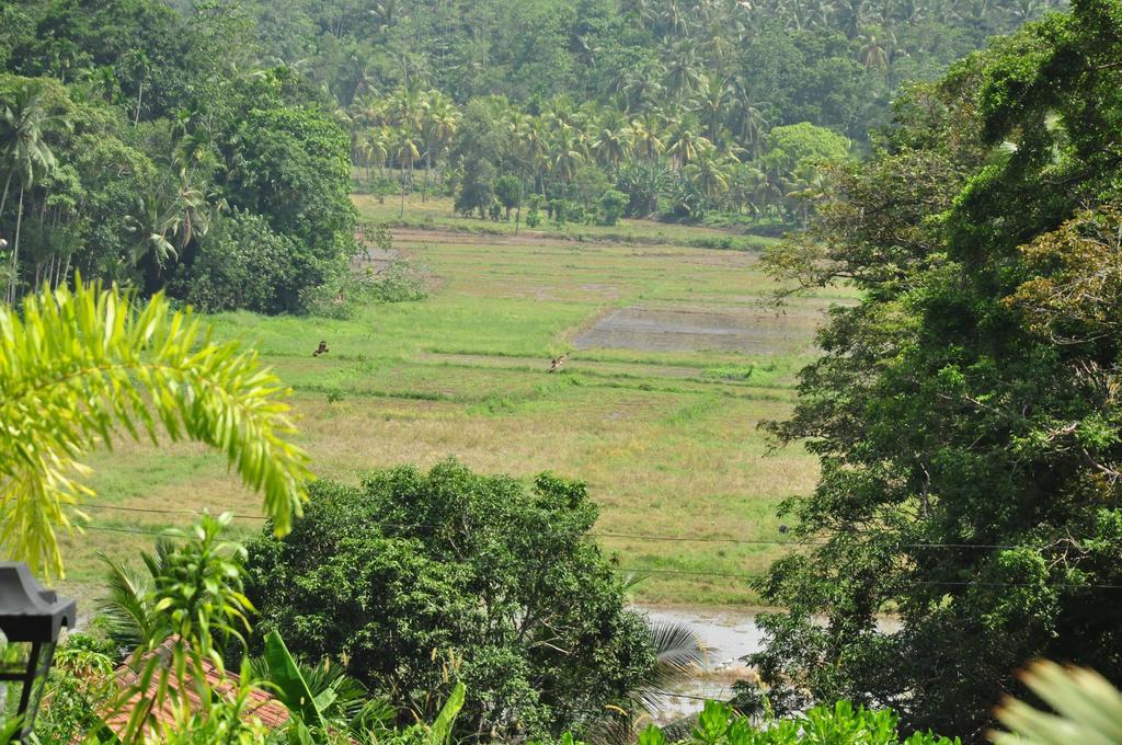 Fort Edge Retreat Unawatuna Exteriér fotografie